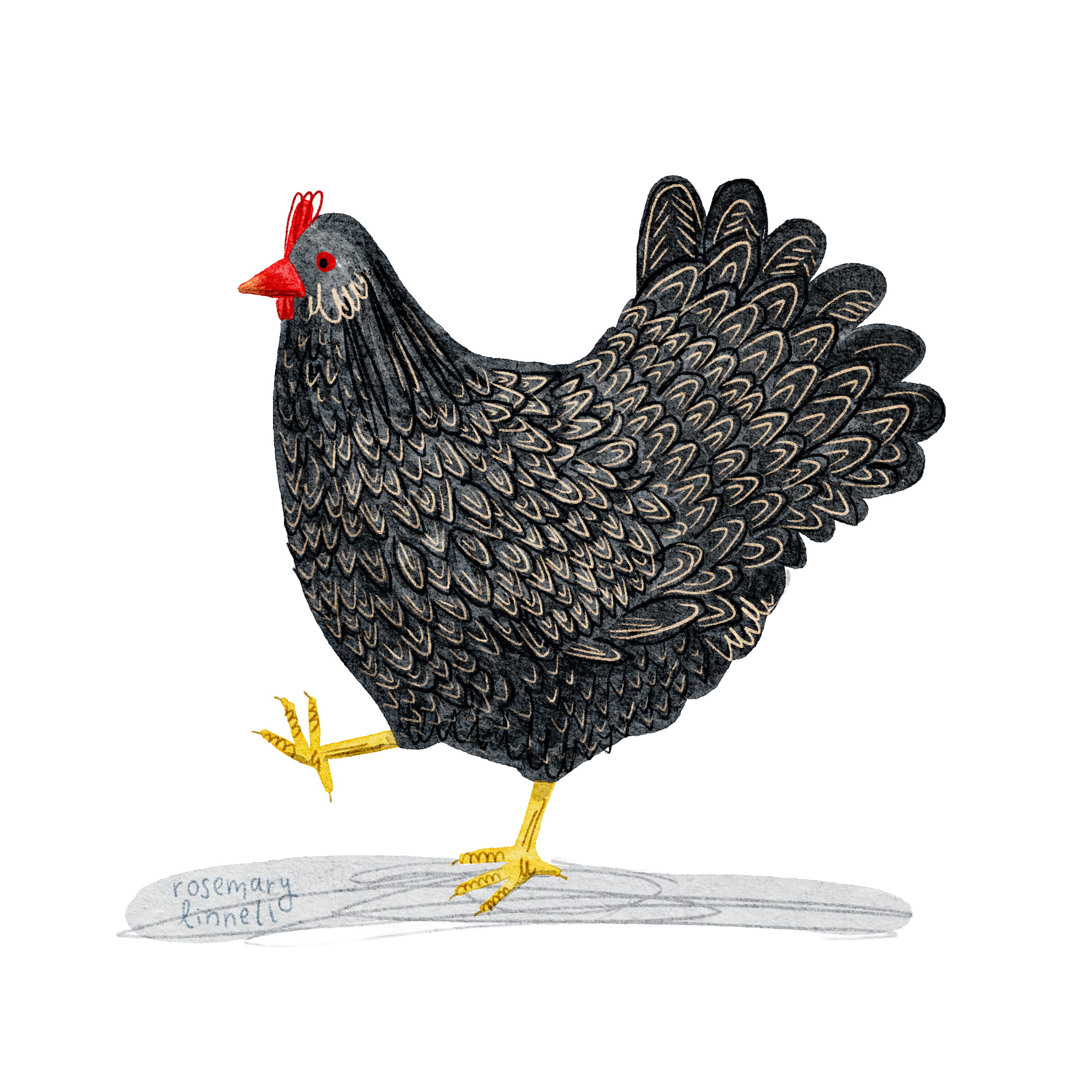 a cheerful chicken