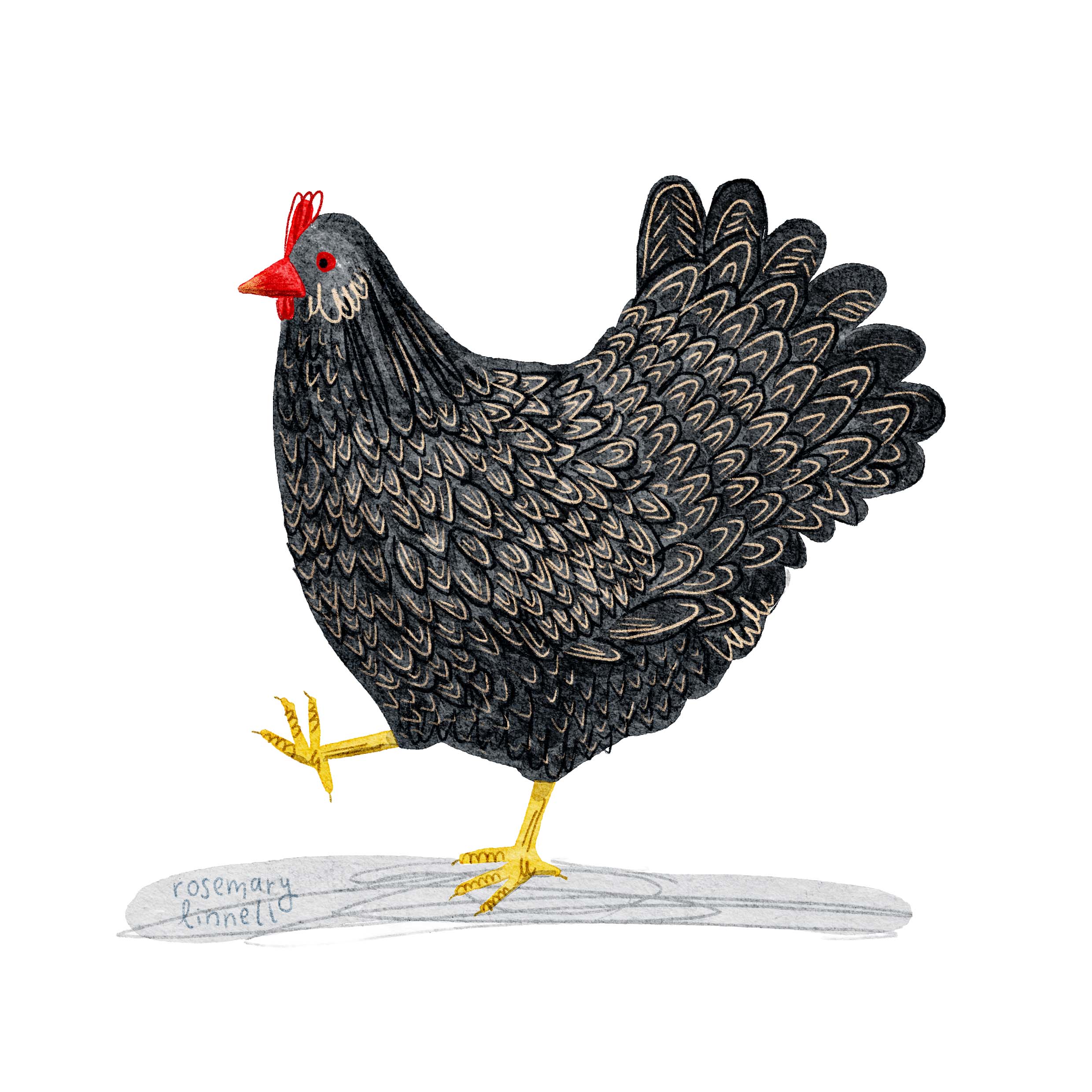 a cheerful chicken